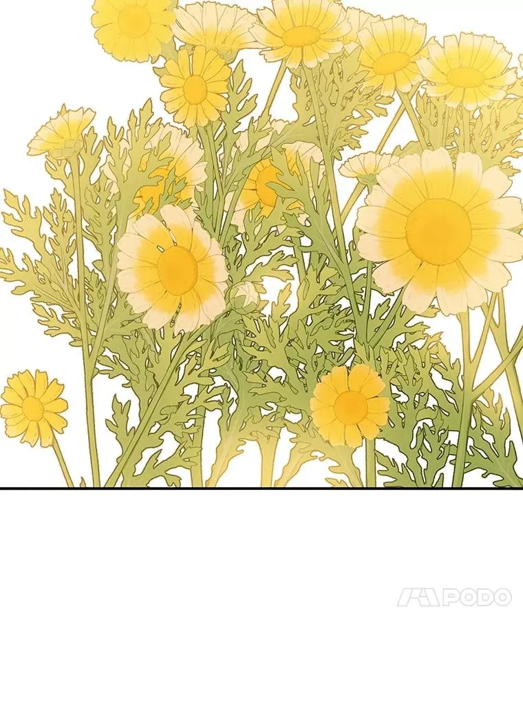 第291页
