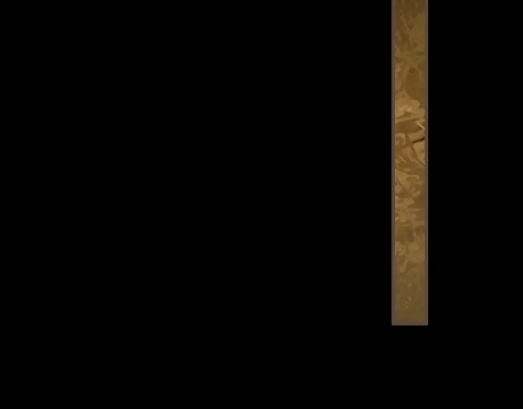 第291页