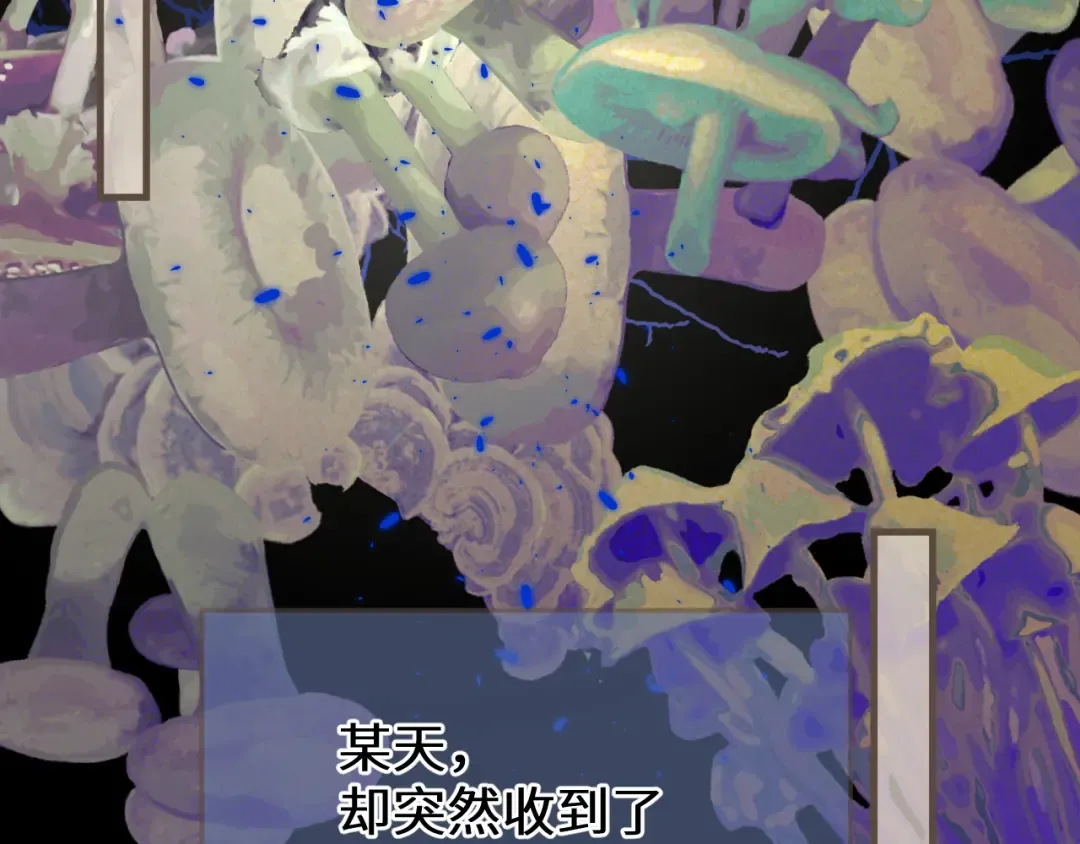 第426页
