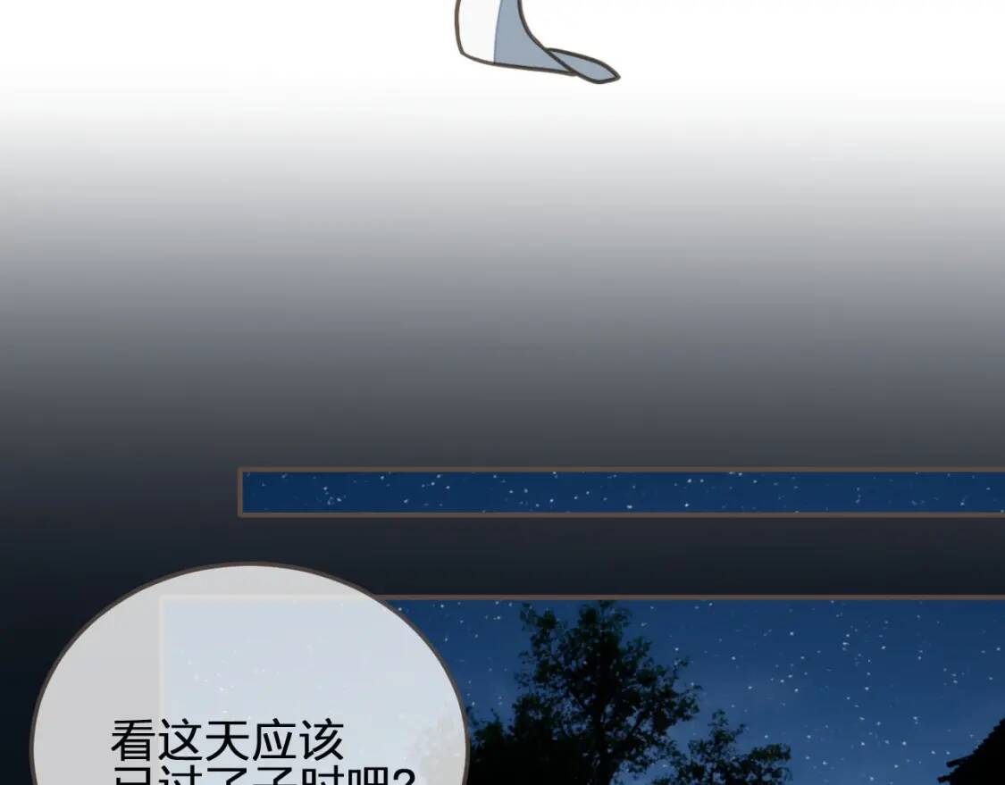 第204页