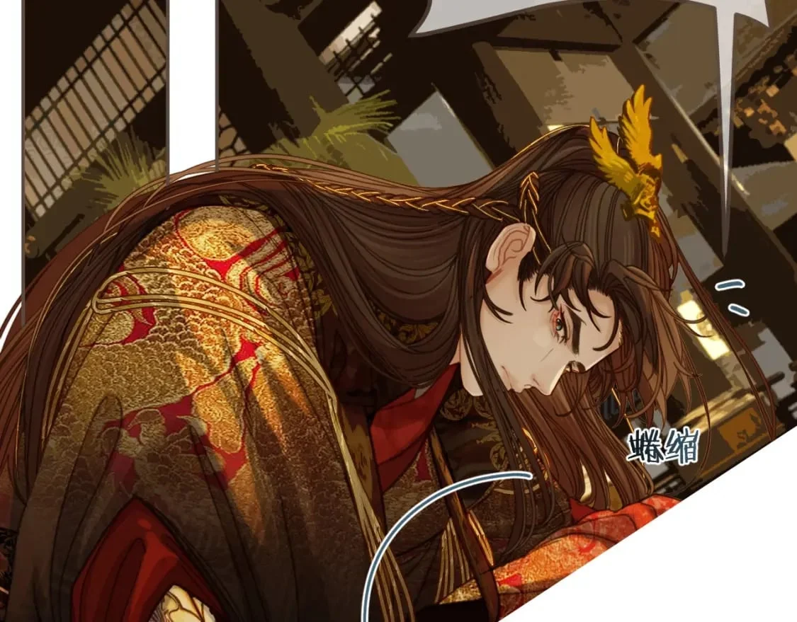 第216页