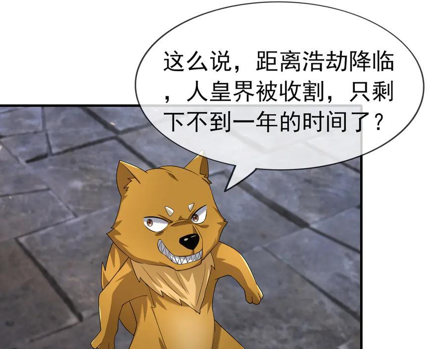 第333页