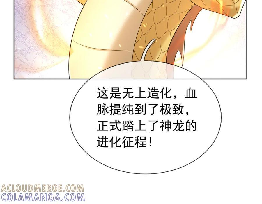 第204页