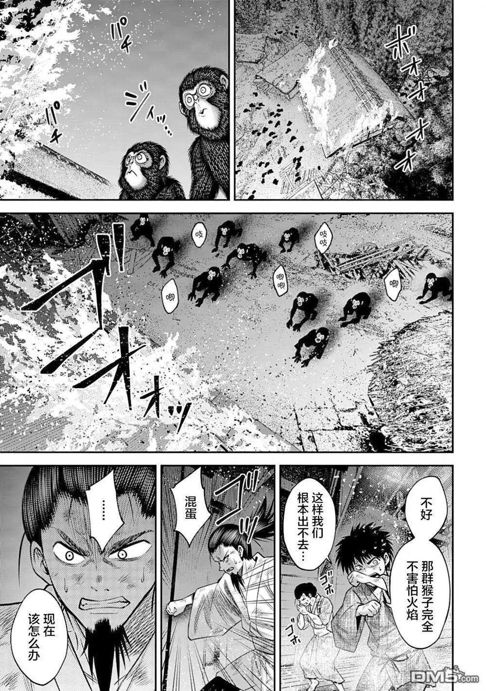 第42页