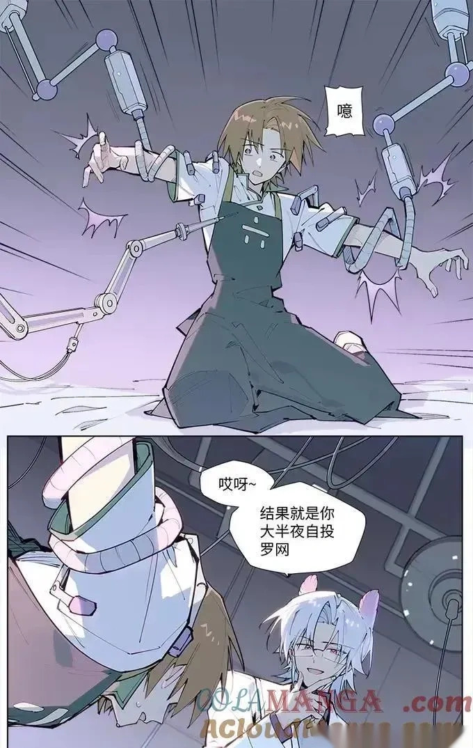 第66页