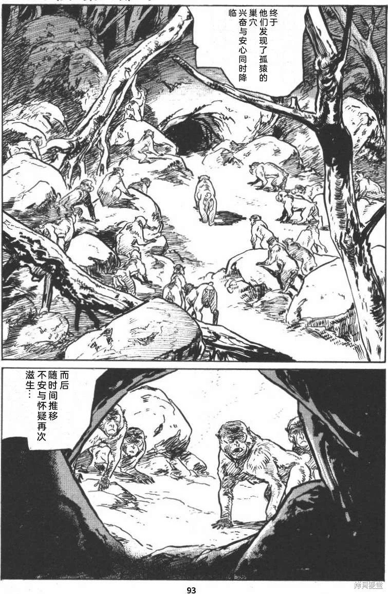 第294页