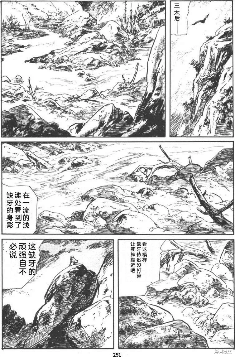 第768页