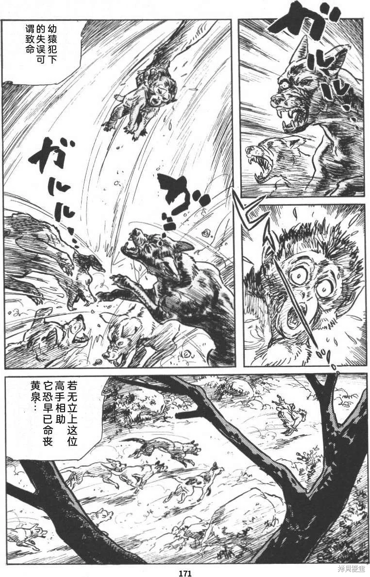 第528页