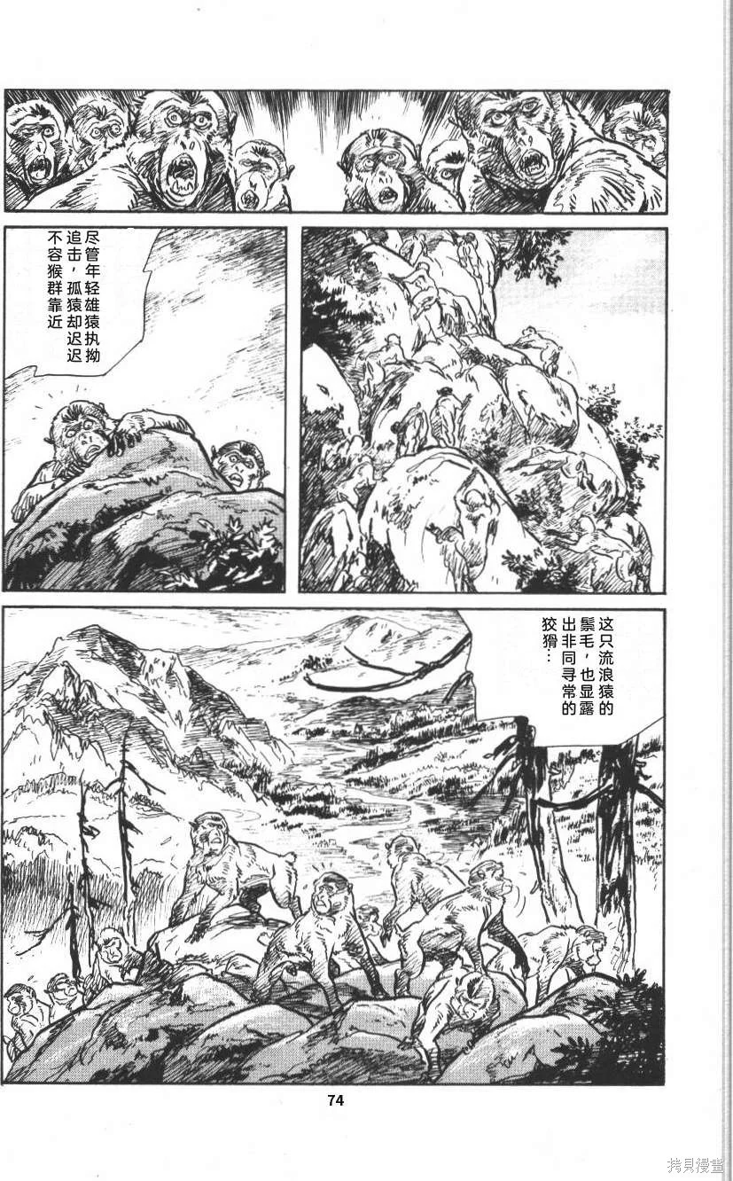 第237页