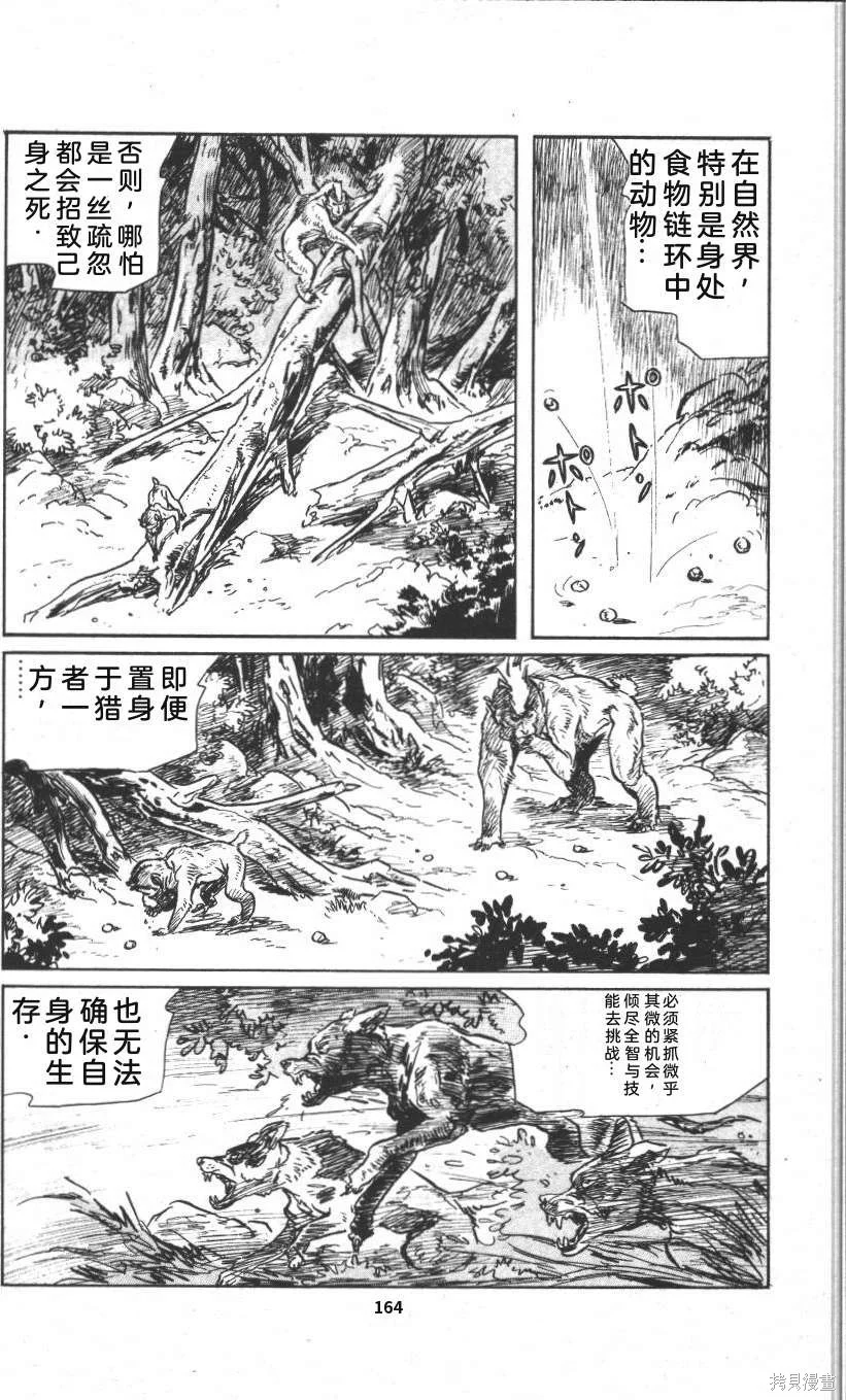 第507页
