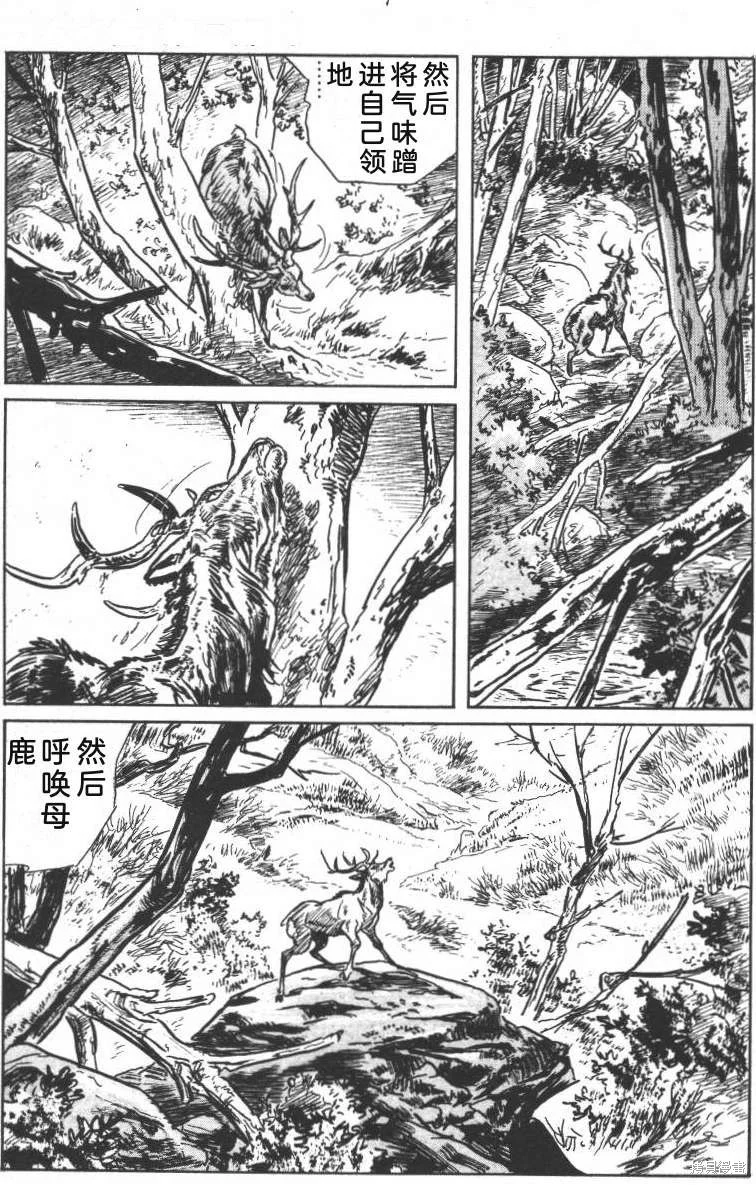 第594页