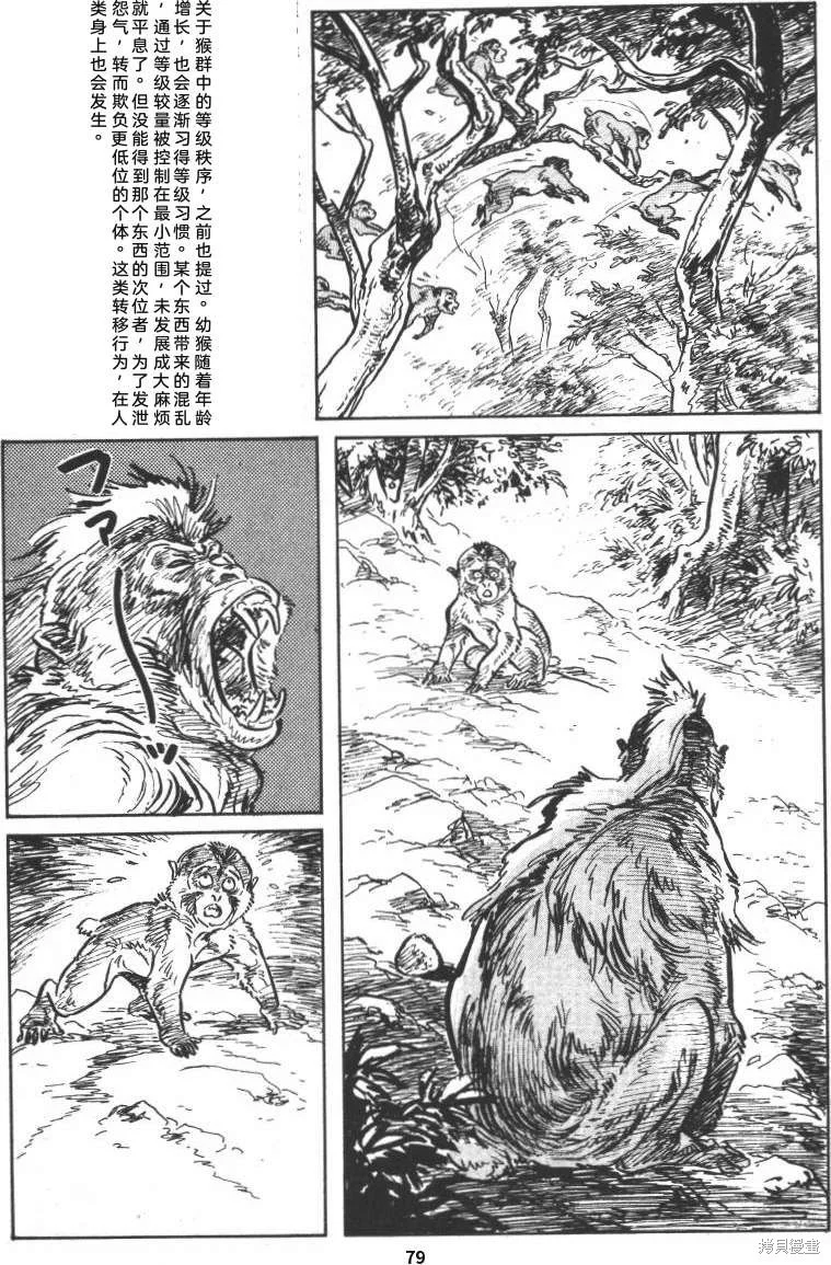 第252页