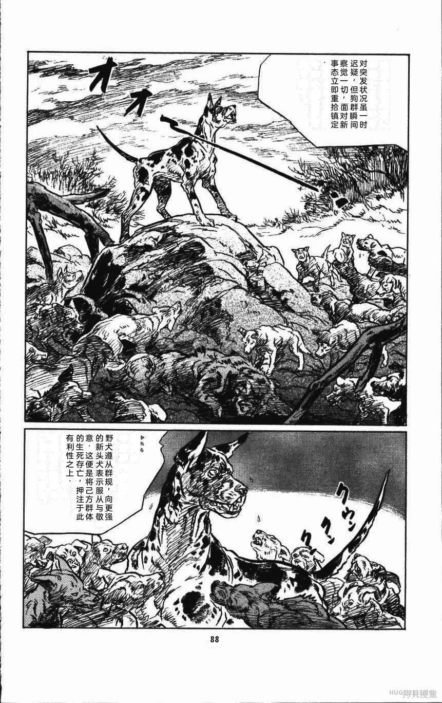 第276页