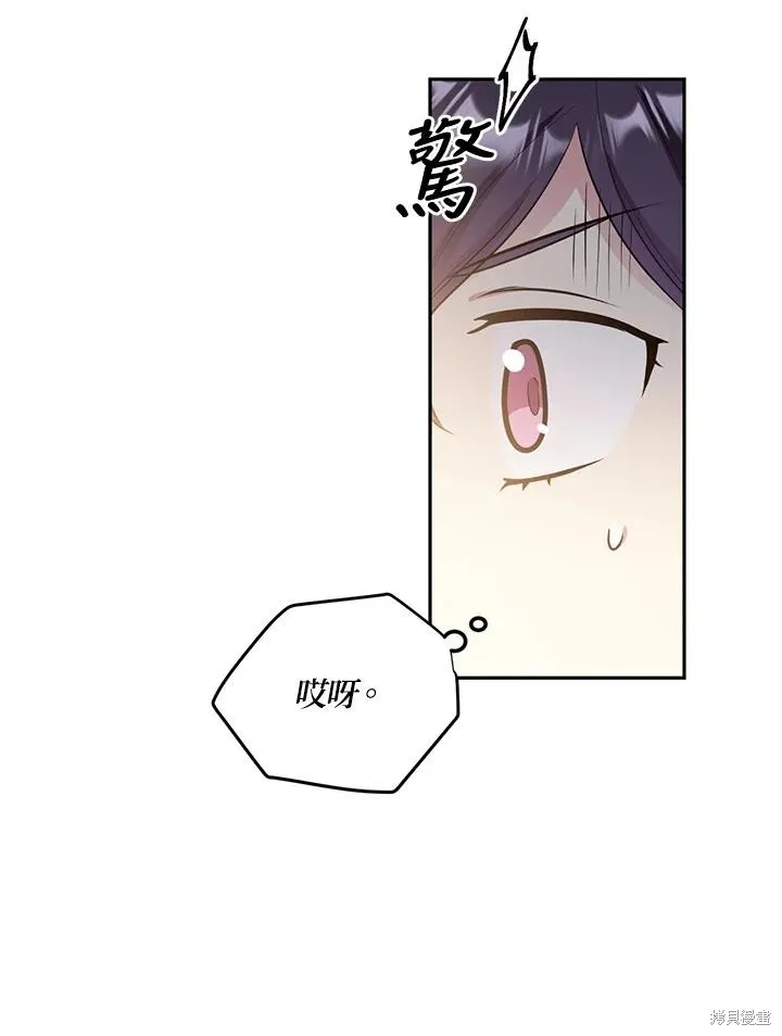 第231页
