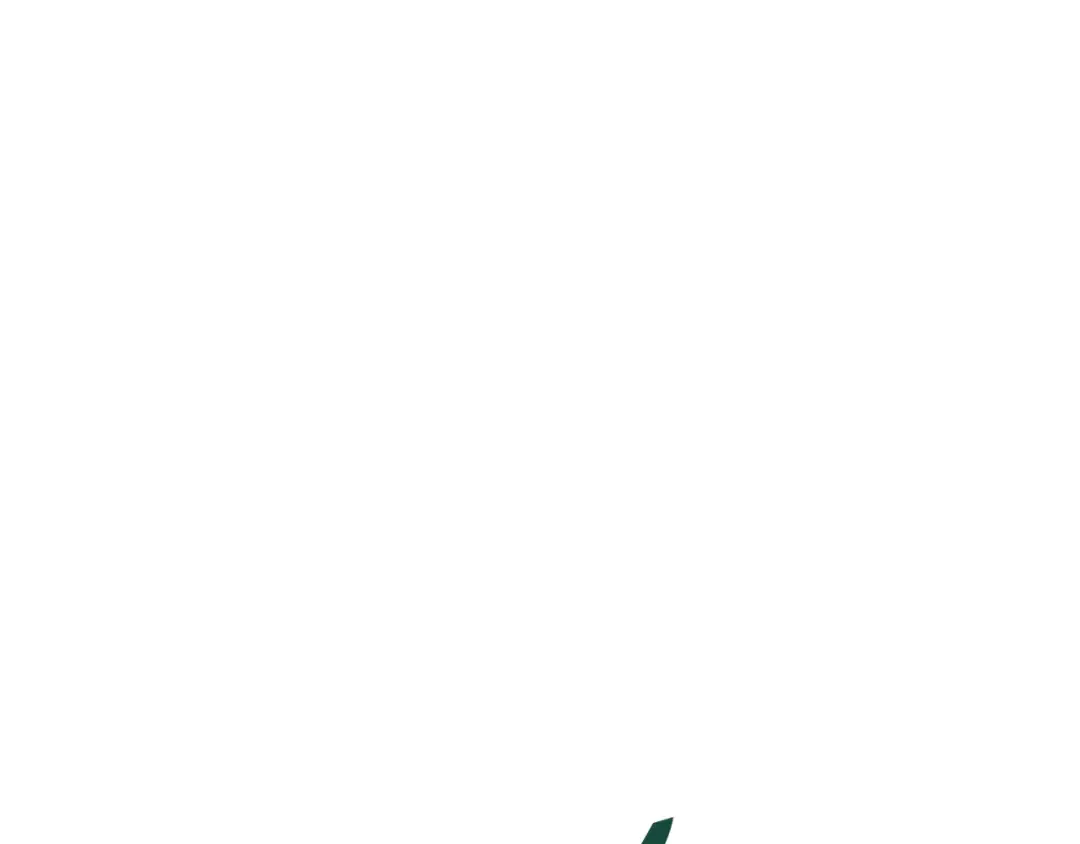 第447页