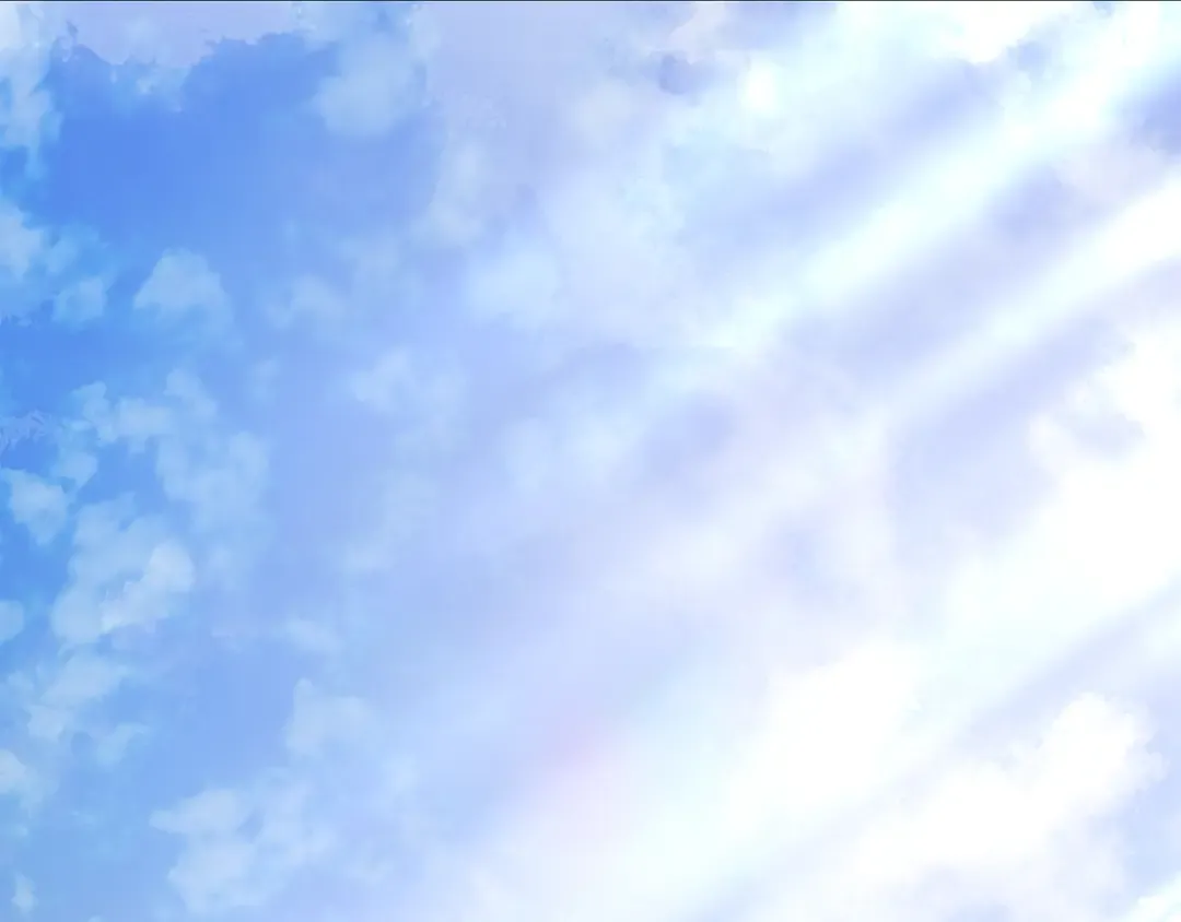 第246页