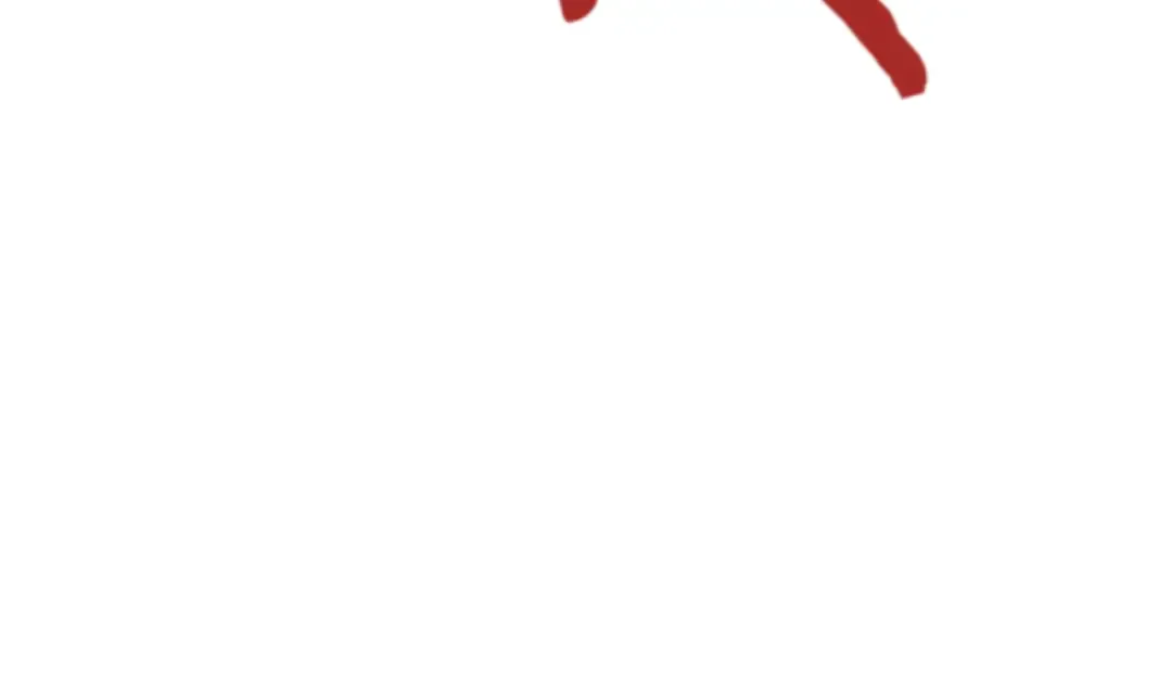 第255页