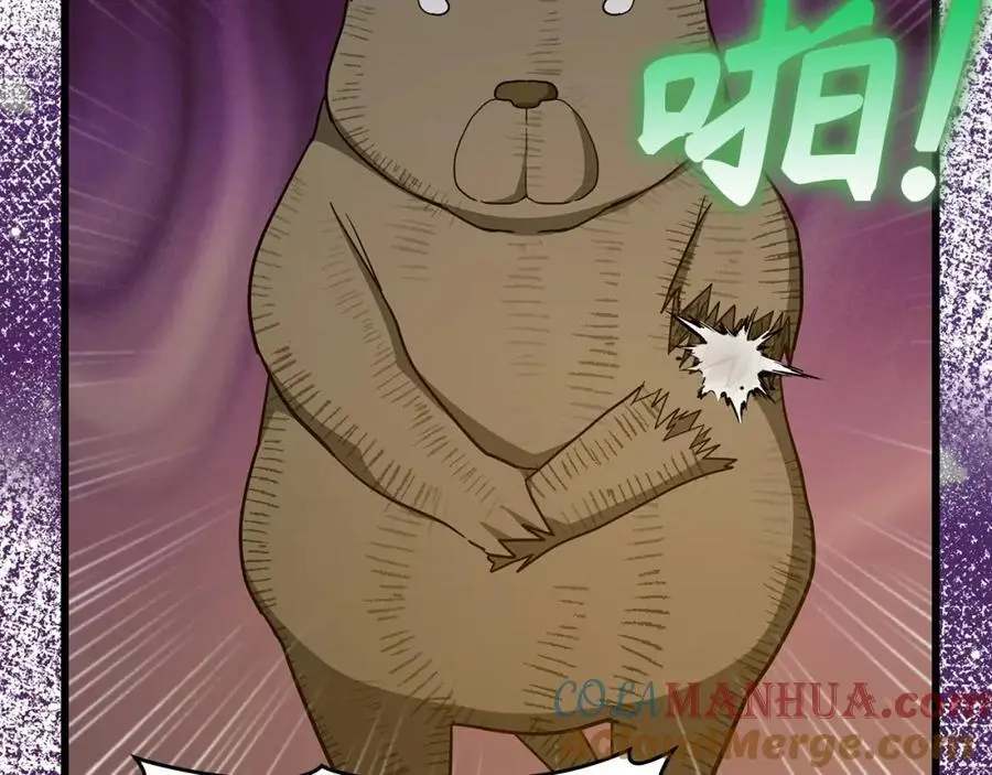 第384页