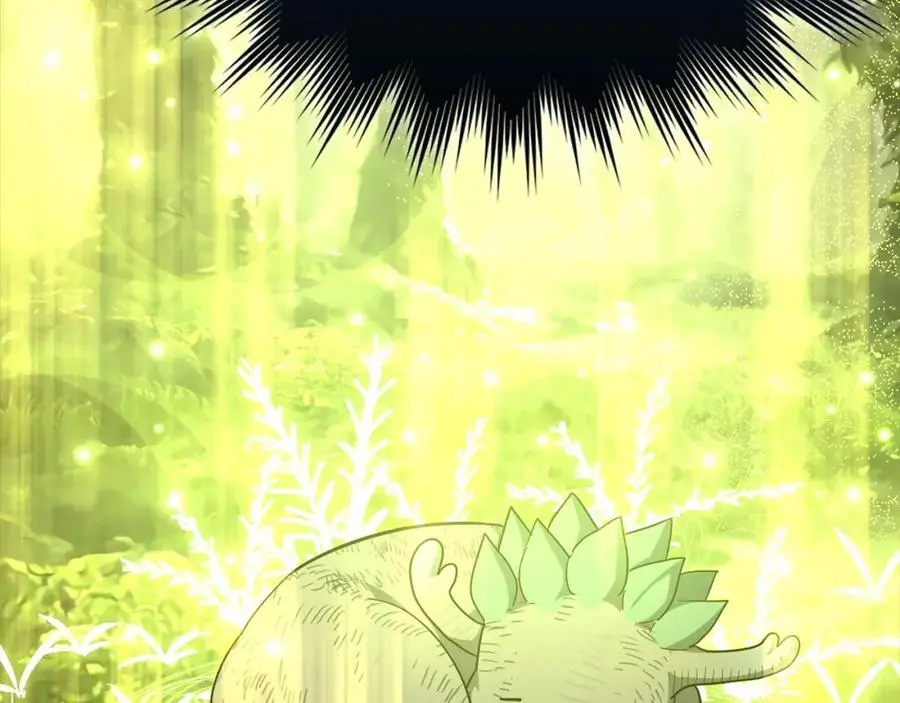 第243页
