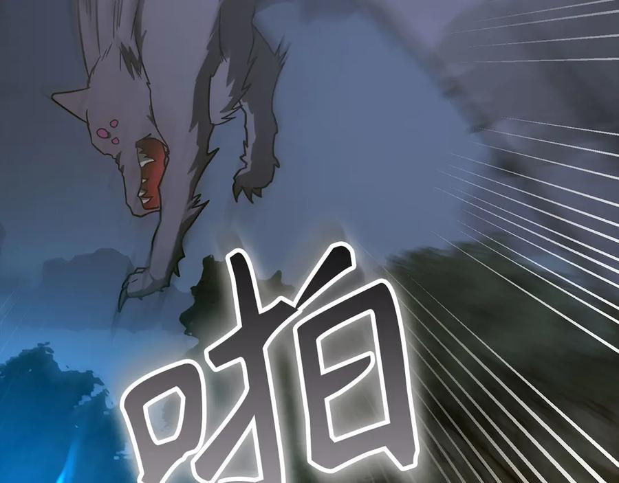 第213页