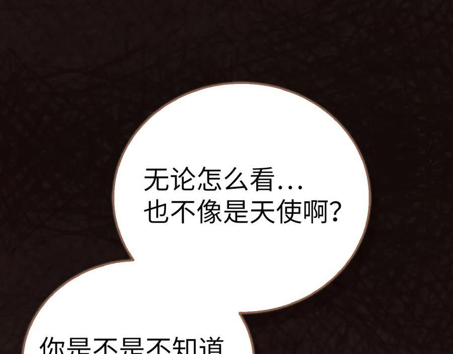 第537页