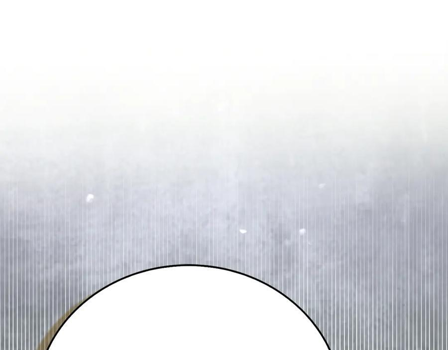 第393页