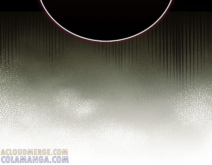 第516页