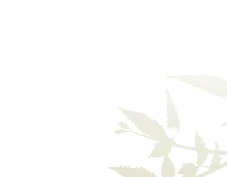 第306页