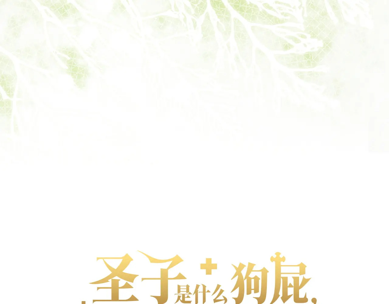 第204页