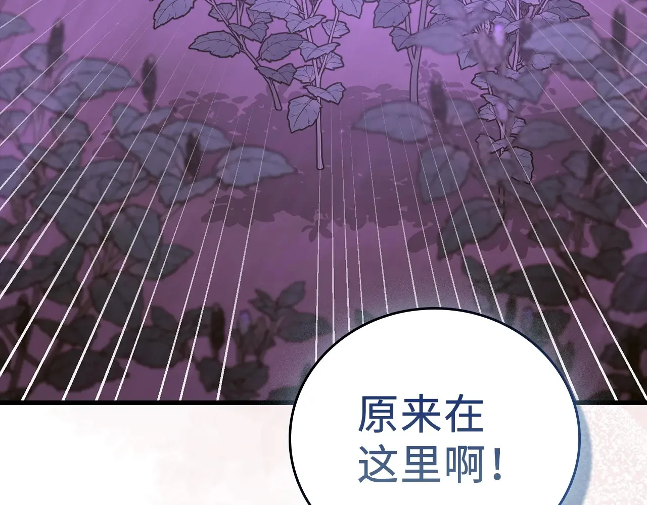 第366页