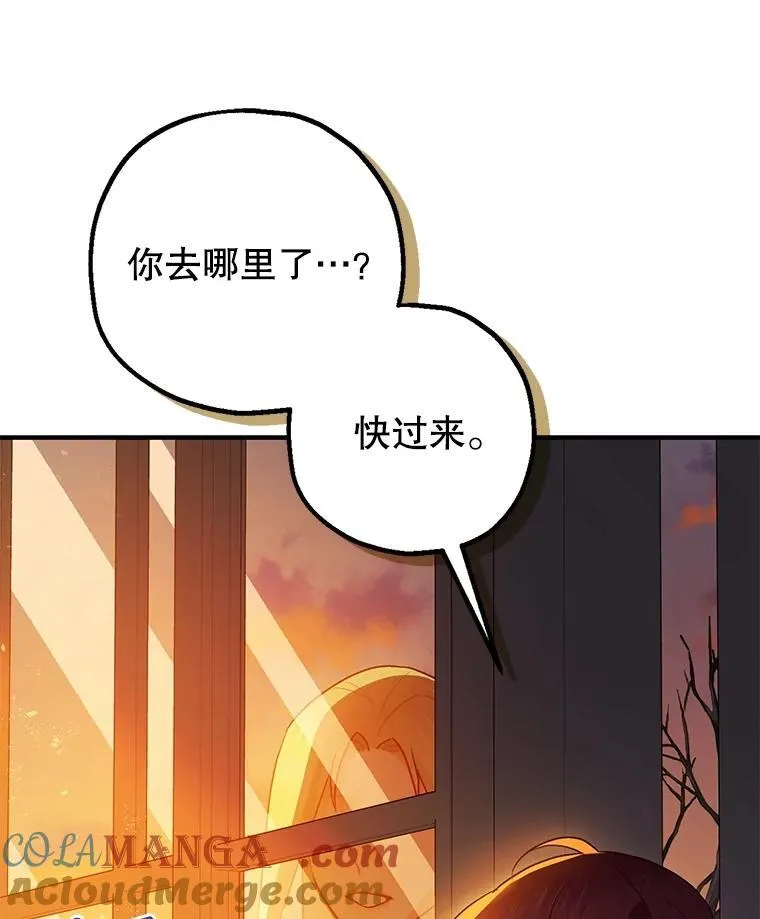 第204页