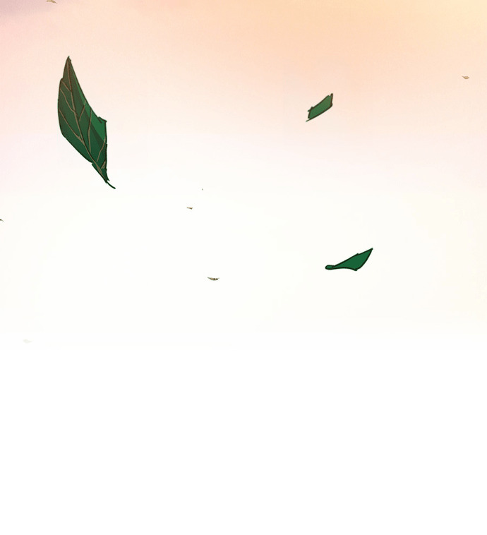 第597页