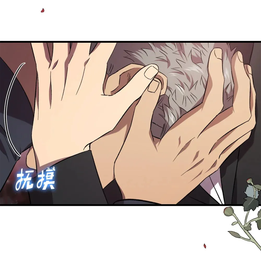 第216页