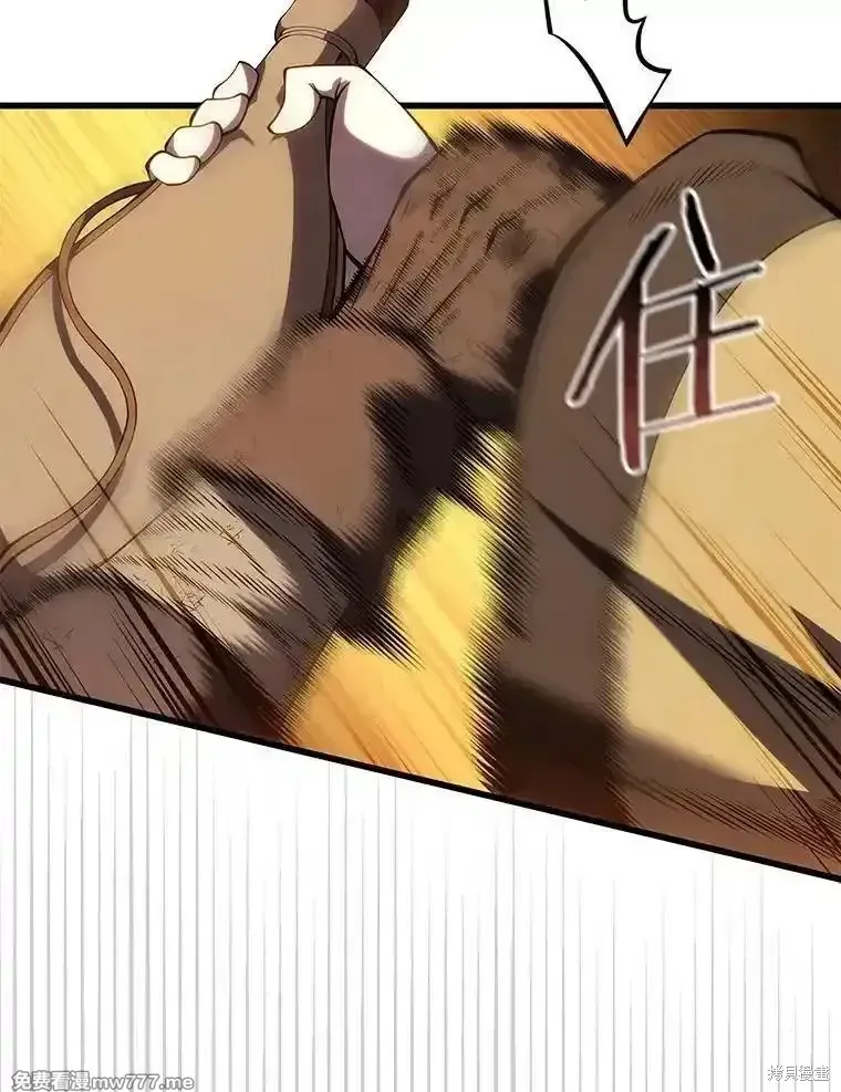 第234页