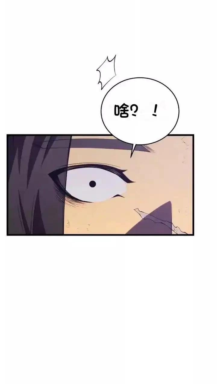 第219页