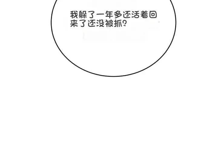 第231页
