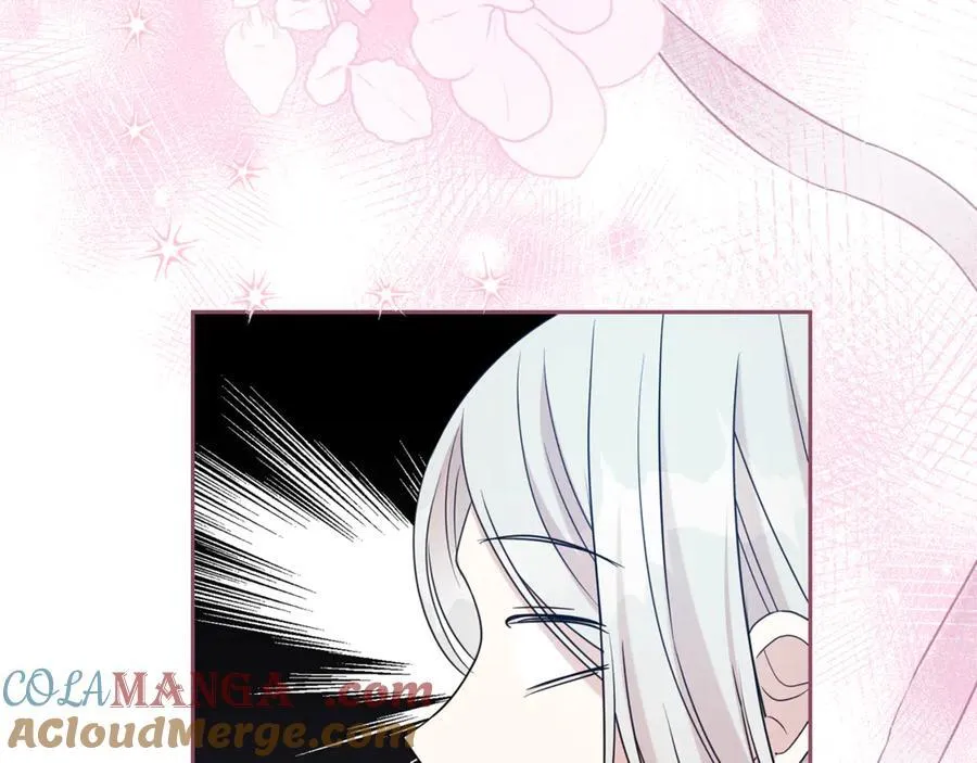 第564页