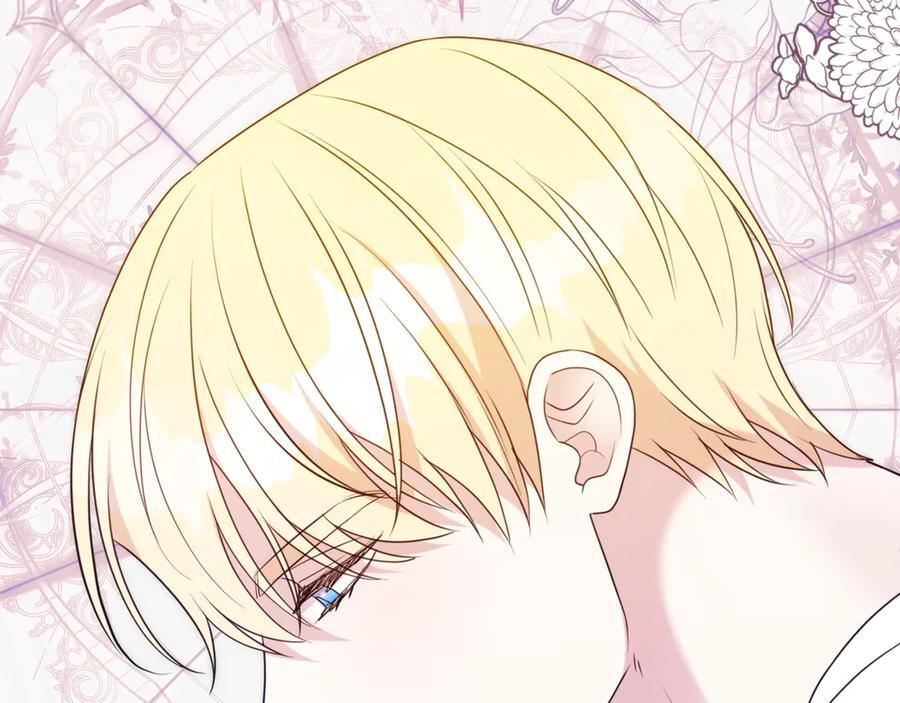 第591页