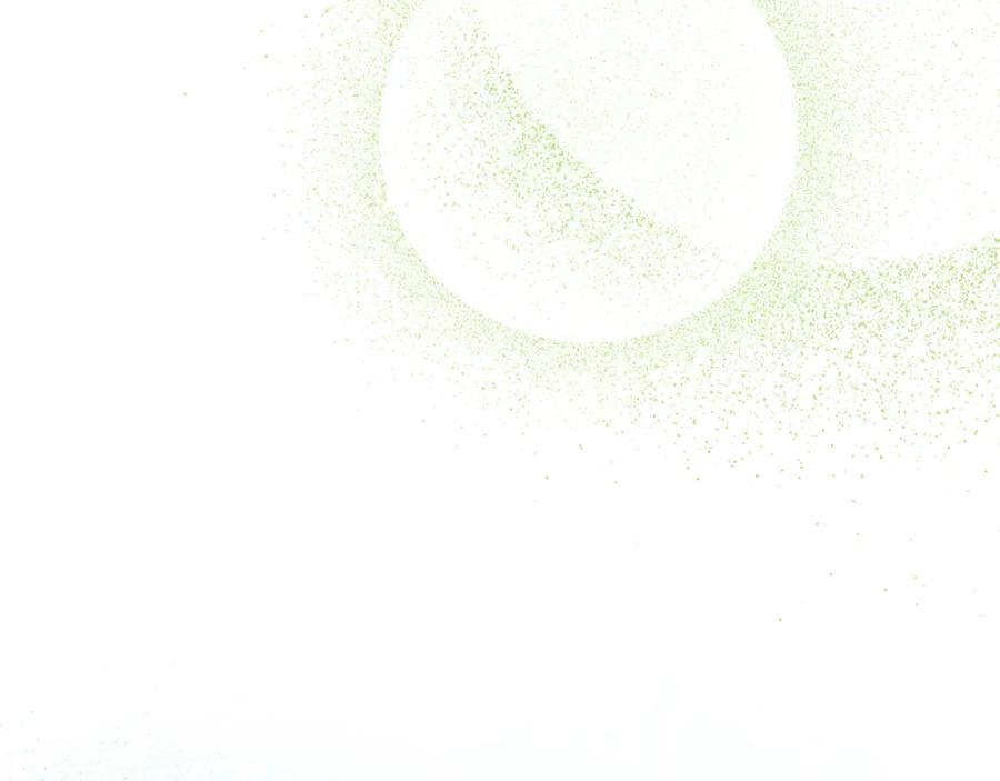 第519页