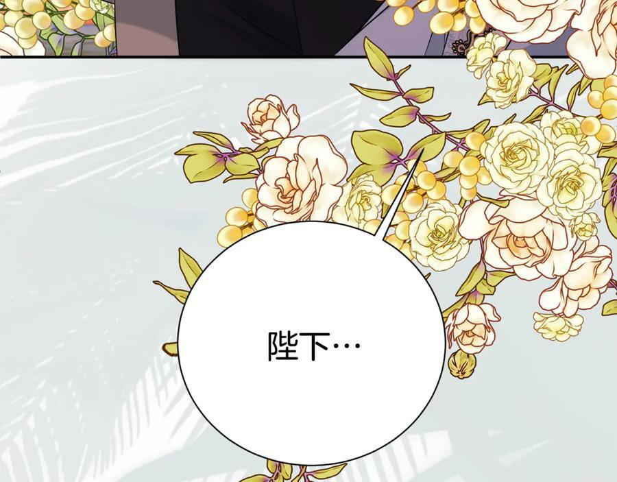 第558页