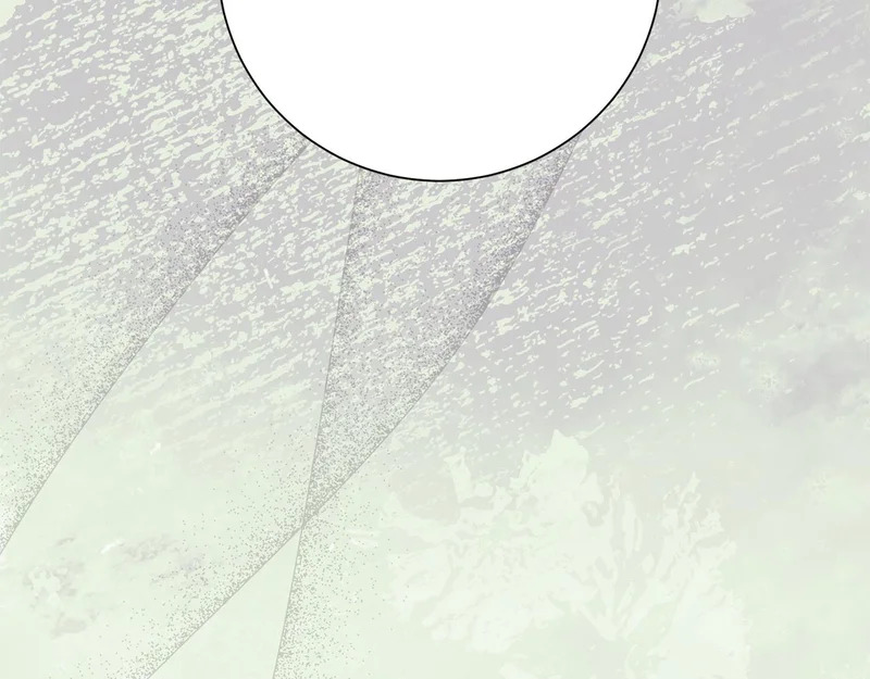 第564页