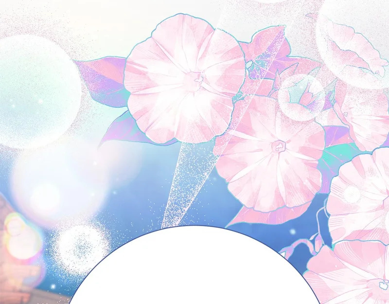 第732页