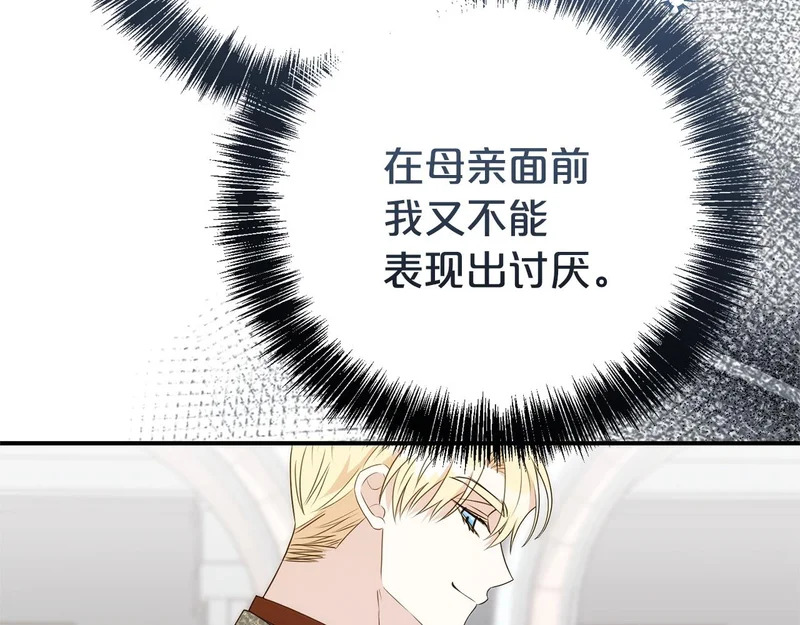 第243页