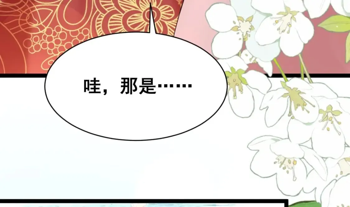 第207页