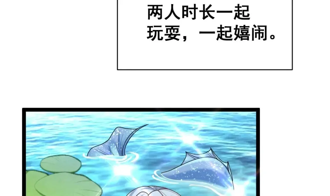 第258页