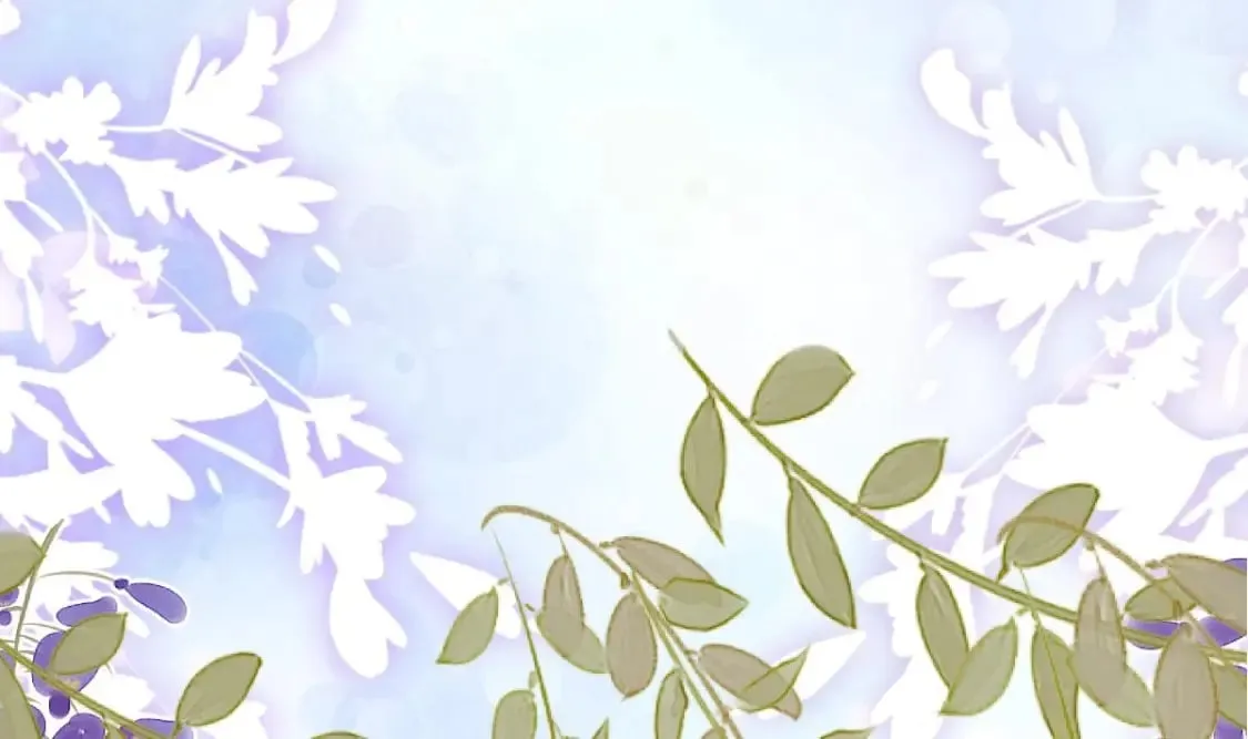 第285页