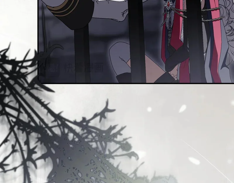 第213页