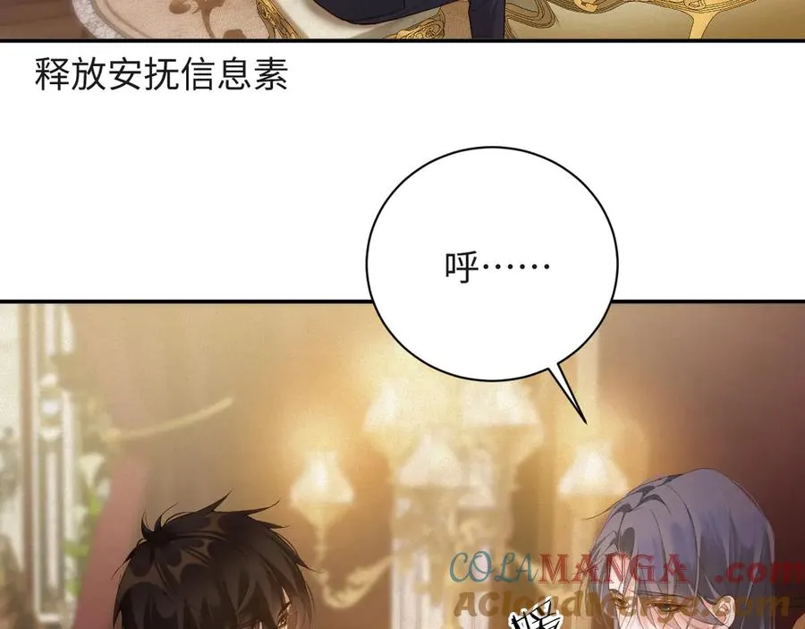 第207页