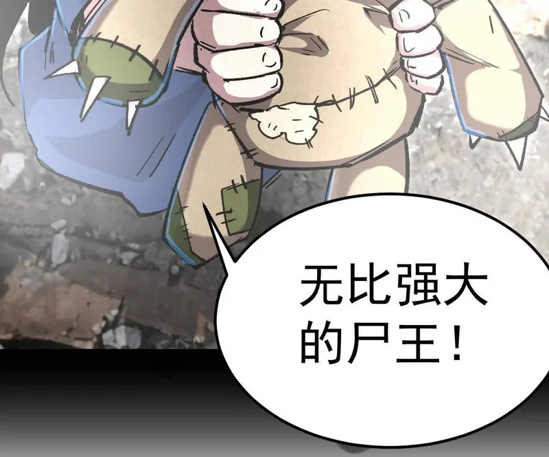 第231页