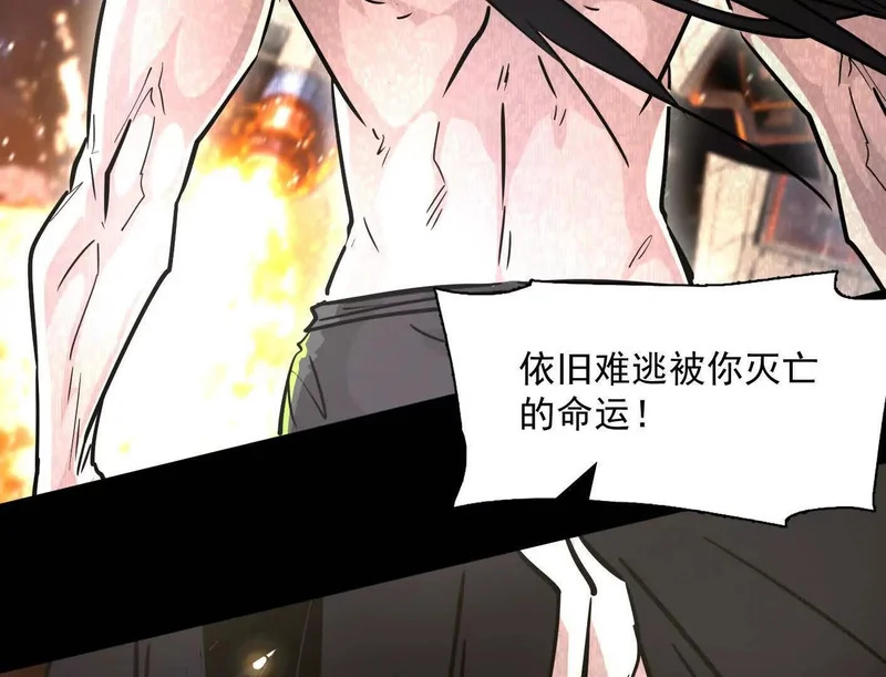 第231页